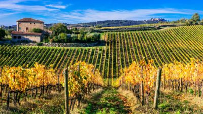 Tuscany Private Wine Tours