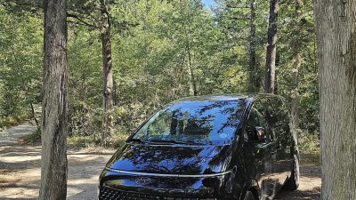 Truffle hunting with San Giorgio NCC