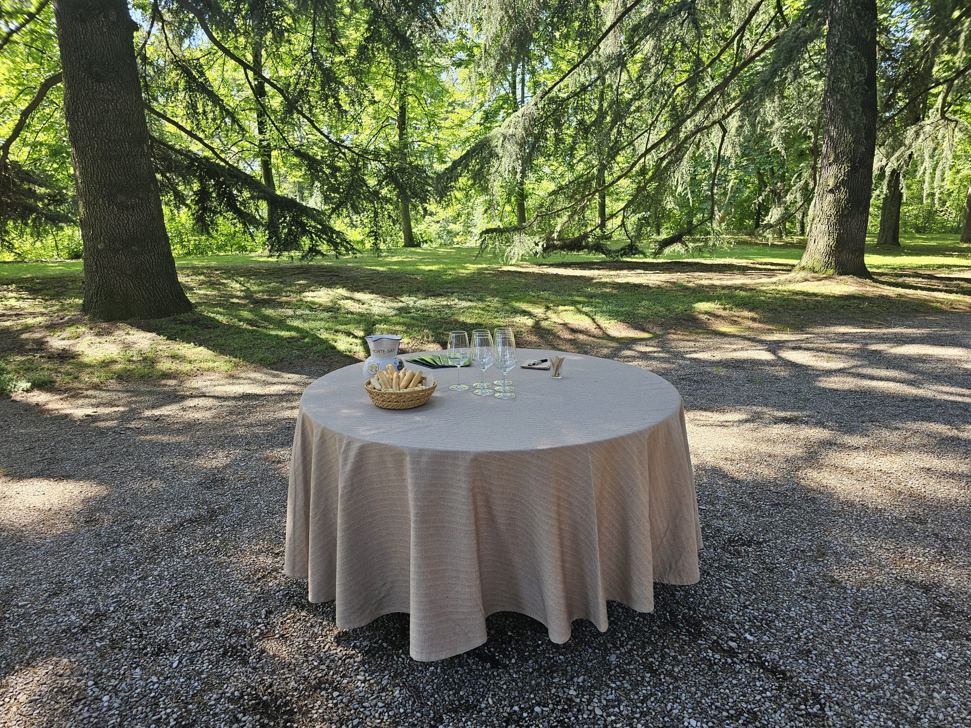 Bologna wine tasting