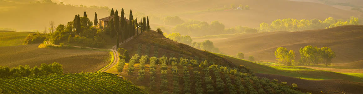 Tuscany Private Wine Tours