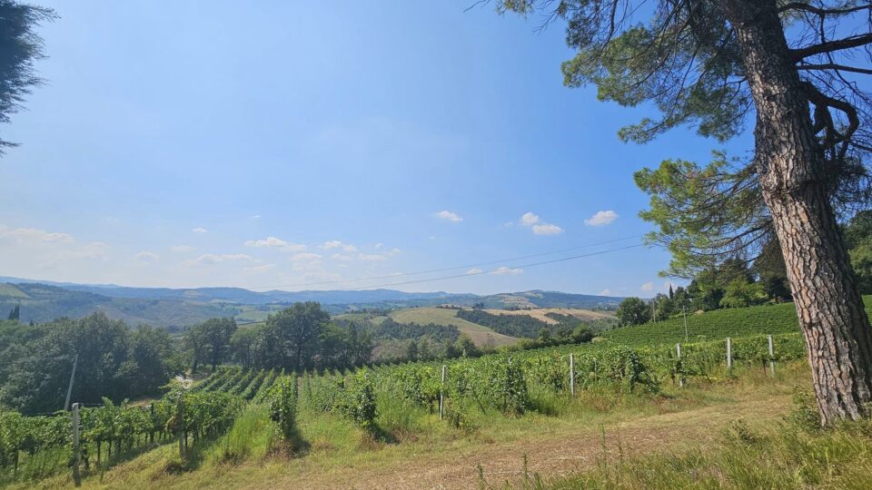 Bologna Wine and Gourmet Tours