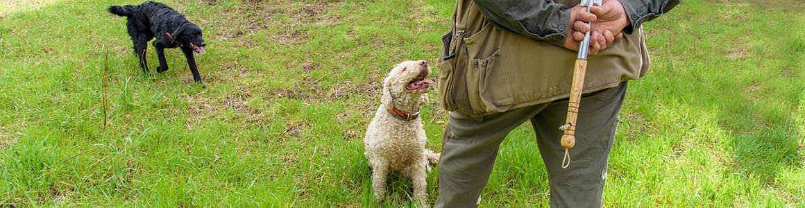 Truffle Hunting in Tuscany
