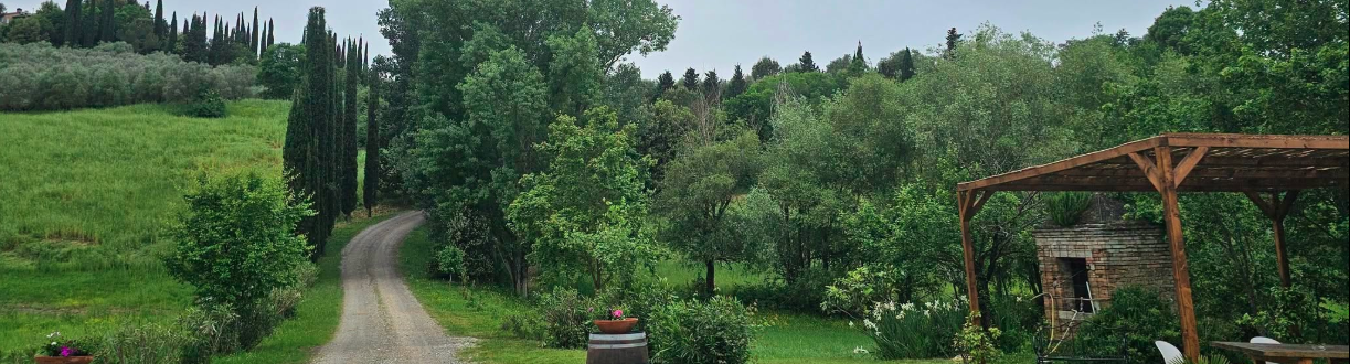 Corbucci Winery – One of our Chianti wine tour stops